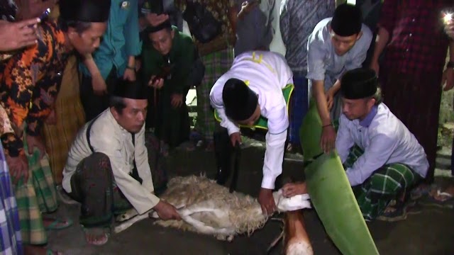 Sambut Hari Raya Idul Adha, Ponpes Al-Istiqomah Gelar Pelatihan Menjadi Juru Sembelih Halal