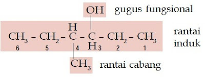 rantai cabang induk gugus fungsional 4-metil-3-heksanol