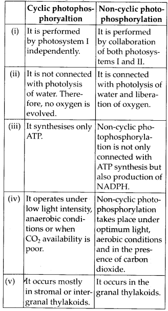 Solutions Class 11 Biology Chapter -13 (Photosynthesis in Higher Plants)