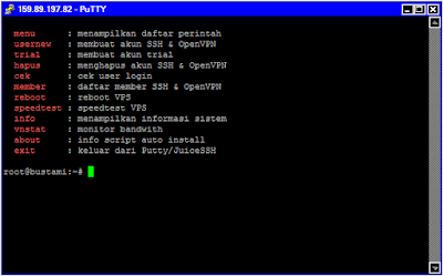 Script Auto Install SSH dan OpenVPN untuk VPS Debian 10 64 bit