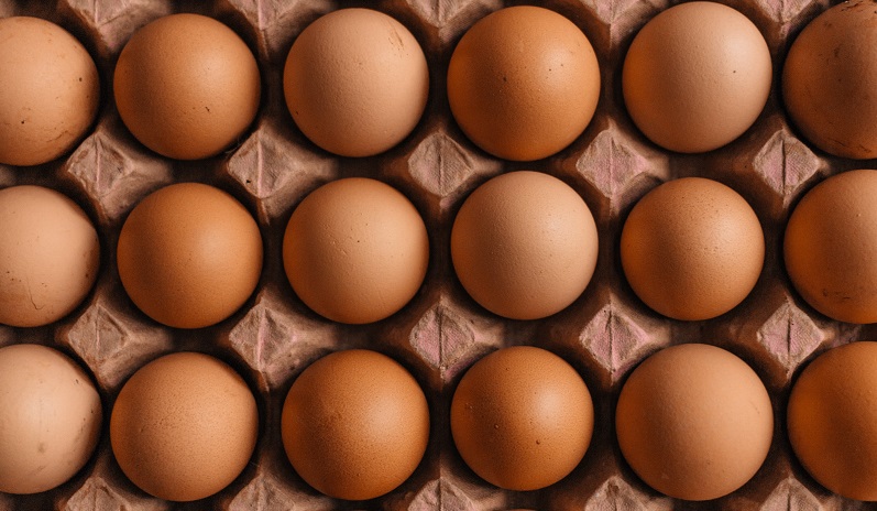 can you dye brown chicken eggs?