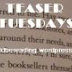 BLOG MEME: Teaser Tuesdays (16th June)