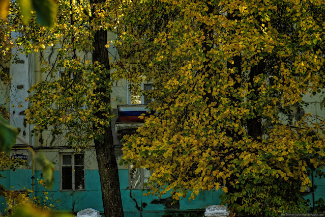 Флаг России за ветвями деревьев
