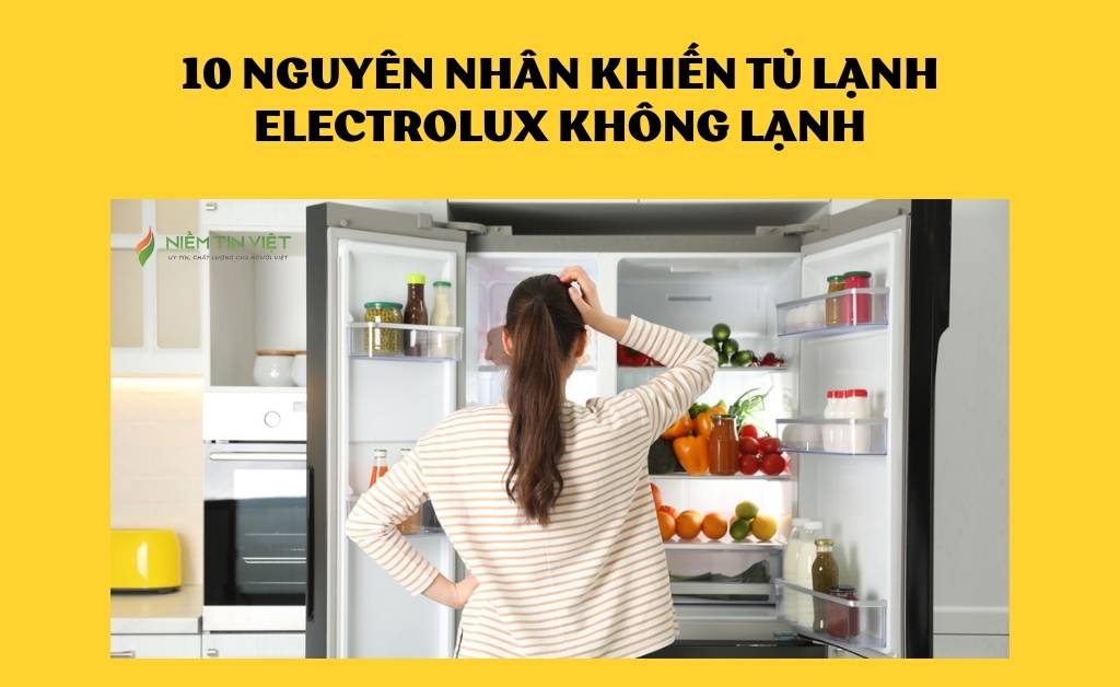10 nguyên nhân và cách khắc phục tủ lạnh Electrolux không lạnh