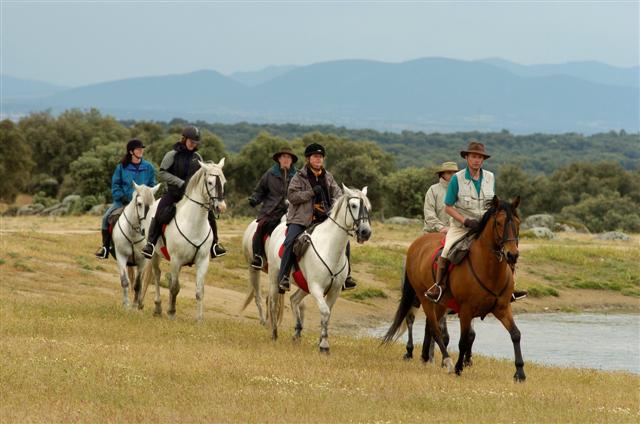 http://www.sicilyonhorseback.com