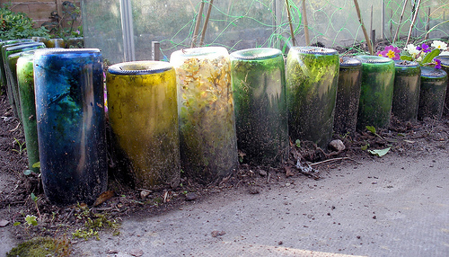 Senior Journal: Wine Bottle Garden