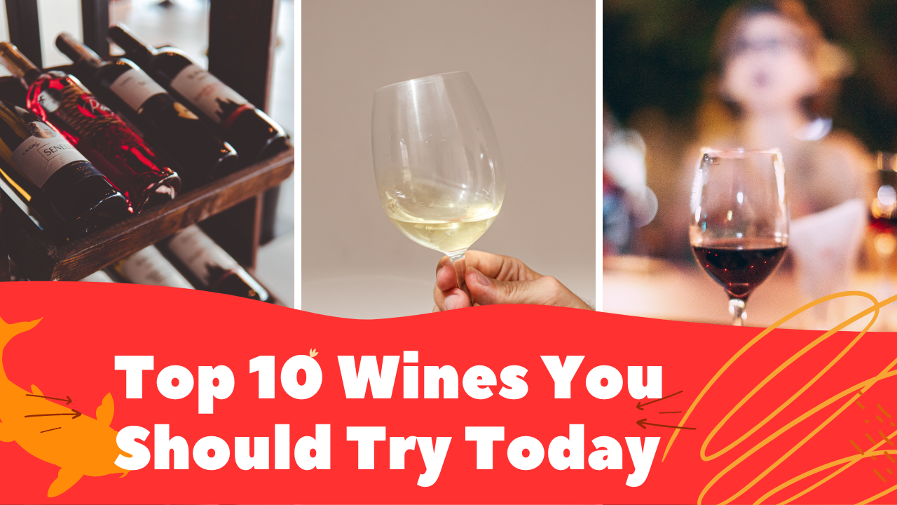 Top 10 Wines You Should Try Today