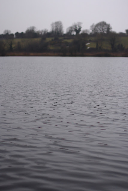 Lough Down, Moycullen