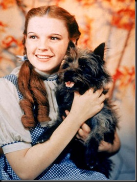 nm_wizard_oz_dorothy_090813_ssv