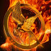 HUNGER GAMES : L'embrasement