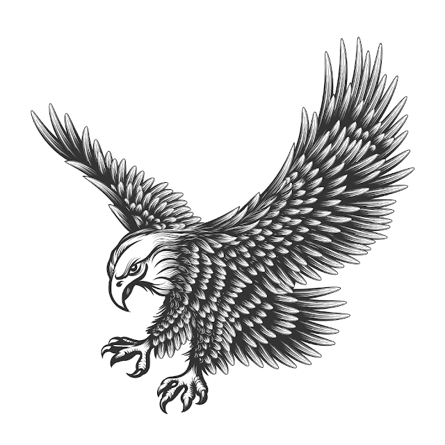 Flying Eagle emblem drawn in engraving style isolated on white. American symbol of freedom. Retro color logo of falcon.