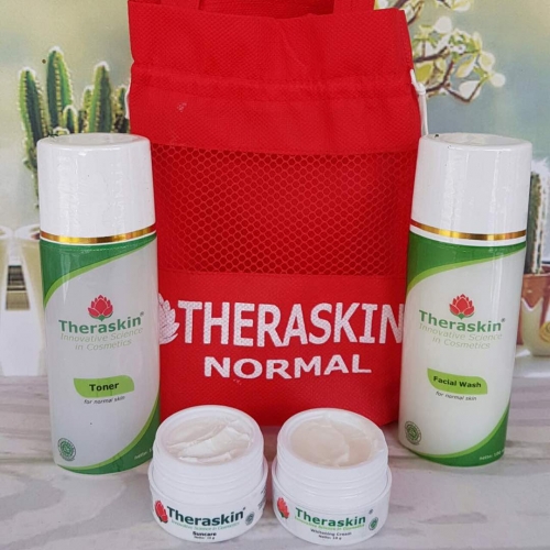 Paket Theraskin Cream Normal Bpom