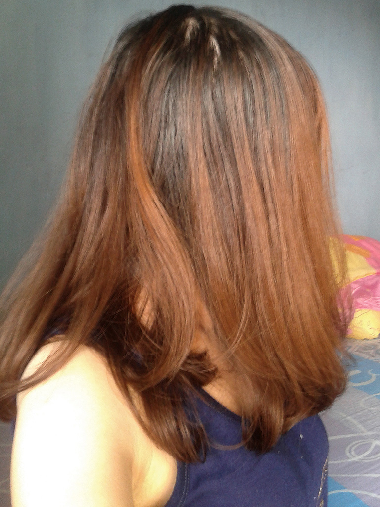  Review  FRESHLIGHT Foam Hair Color in Caramel  Brown 