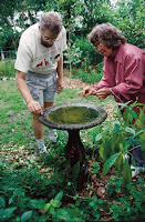 Landscaping For Birds