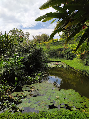 Visitando Paraíso Verde en Manizales para acampar