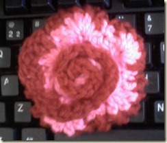 2011-01-04 Crochet 007