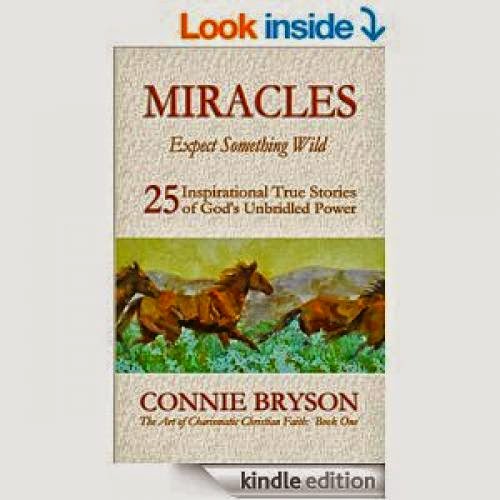 99 Cent Book Find Miracles Expect Something Wild By Connie Bryson