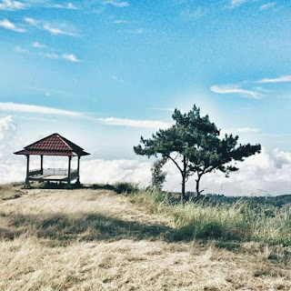 Gambar Negeri di Atas Awan Muntea Bantaeng