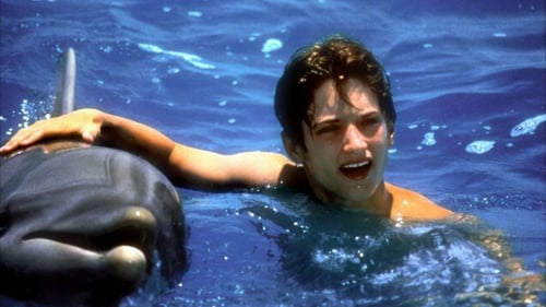 Flipper 1996 descargar full hd latino