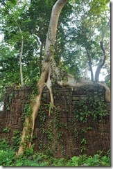 1_Cambodia_Banteay_Chhmar_DSC_0073