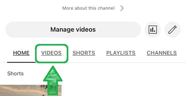 Videos section