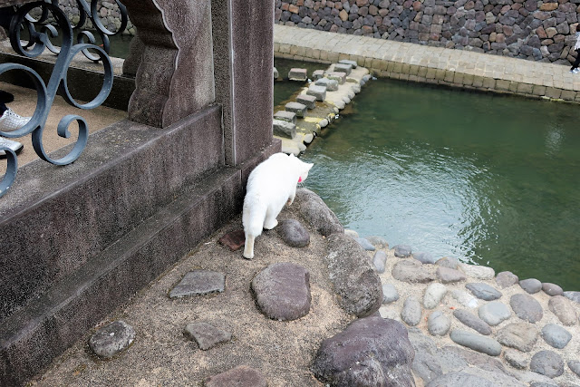 長崎市内観光 眼鏡橋 尾曲がり猫