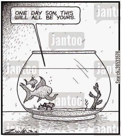 Fish Owner Cartoons