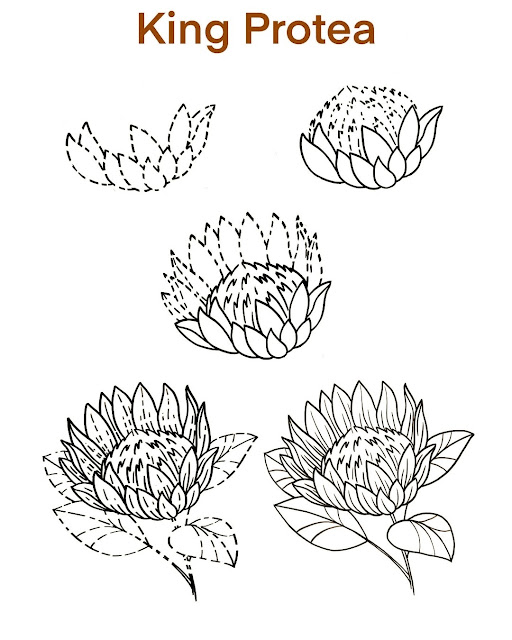 Easy Step By Step Flower Drawings