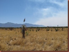San Pedro,ASDM 034