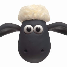 Kartun Shaun the Sheep