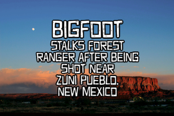 zuni mountain bigfoot