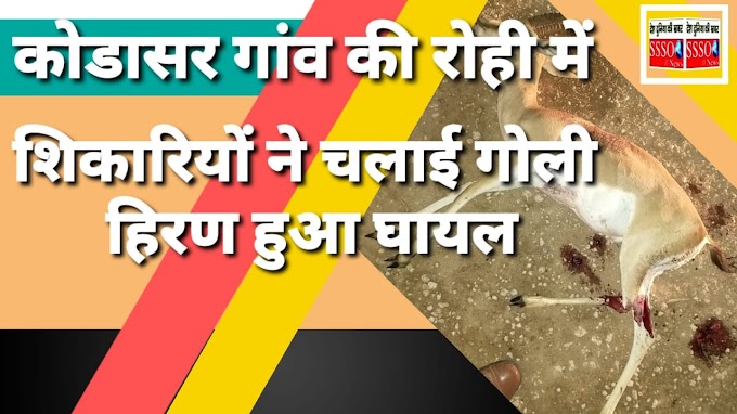  कोडासर गांव की रोही में तीन शिकारियों ने बंदूक की गोली चला कर एक हिरण को शिकार बनाया 