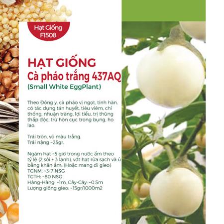 Hạt giống Cà pháo trắng 437AQ - Gói 5Gr