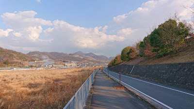 蔵塚古墳(羽曳野市)