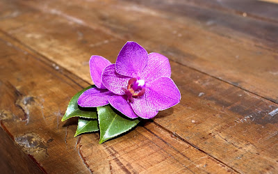 Imágenes de flores para el Día de las Madres