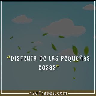 frases 12