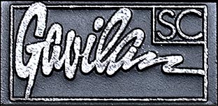 Gavilan sc logo