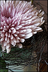 blog 5