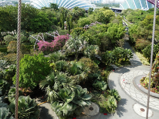 visite de Gardens by the Bay Singapour