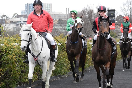 race 5_swampland 1