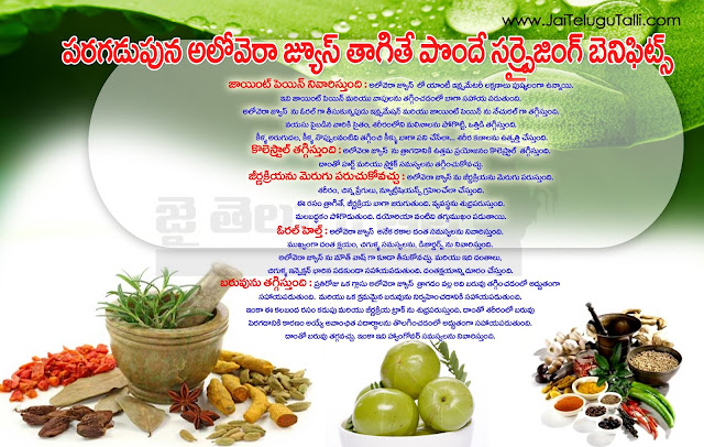 Ayurvedic-Treatment-Telugu-Tips-Health-Tips-Images-Herbal-Treatment