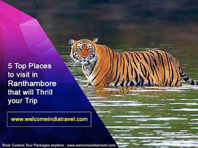 Ranthambore National Park Wildlife Tour Packages