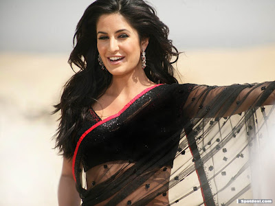 Katrina Kaif in Saree Photos  Part 1