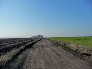 Лысовка, Покровский р-н, Сельскохозяйственные поля