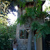 Une maison dans les arbres