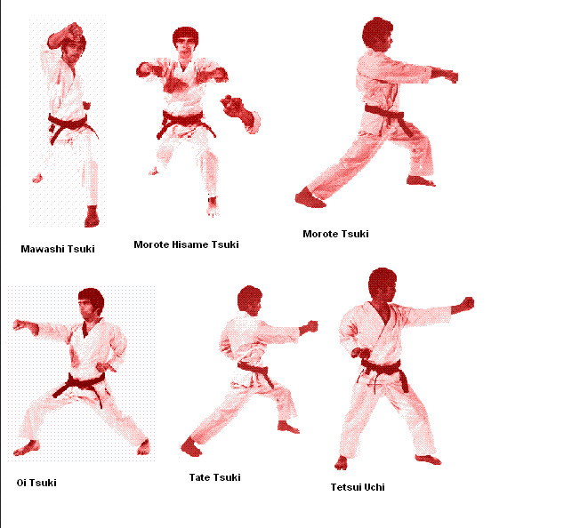  Gambar dan Nama nama Pukulan Karate Lengkap Info Karate