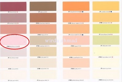 Inspirasi 22 Warna Cat Dulux Pink 