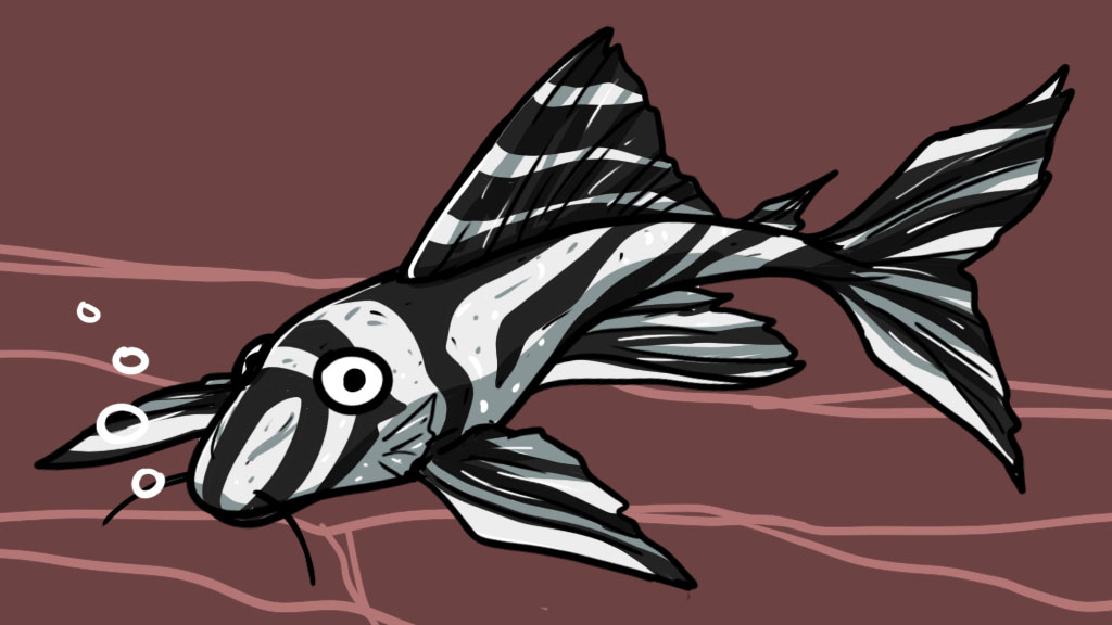 Ikan Zebra Pleco: Asal Usul, Karakteristik, dan Faktanya