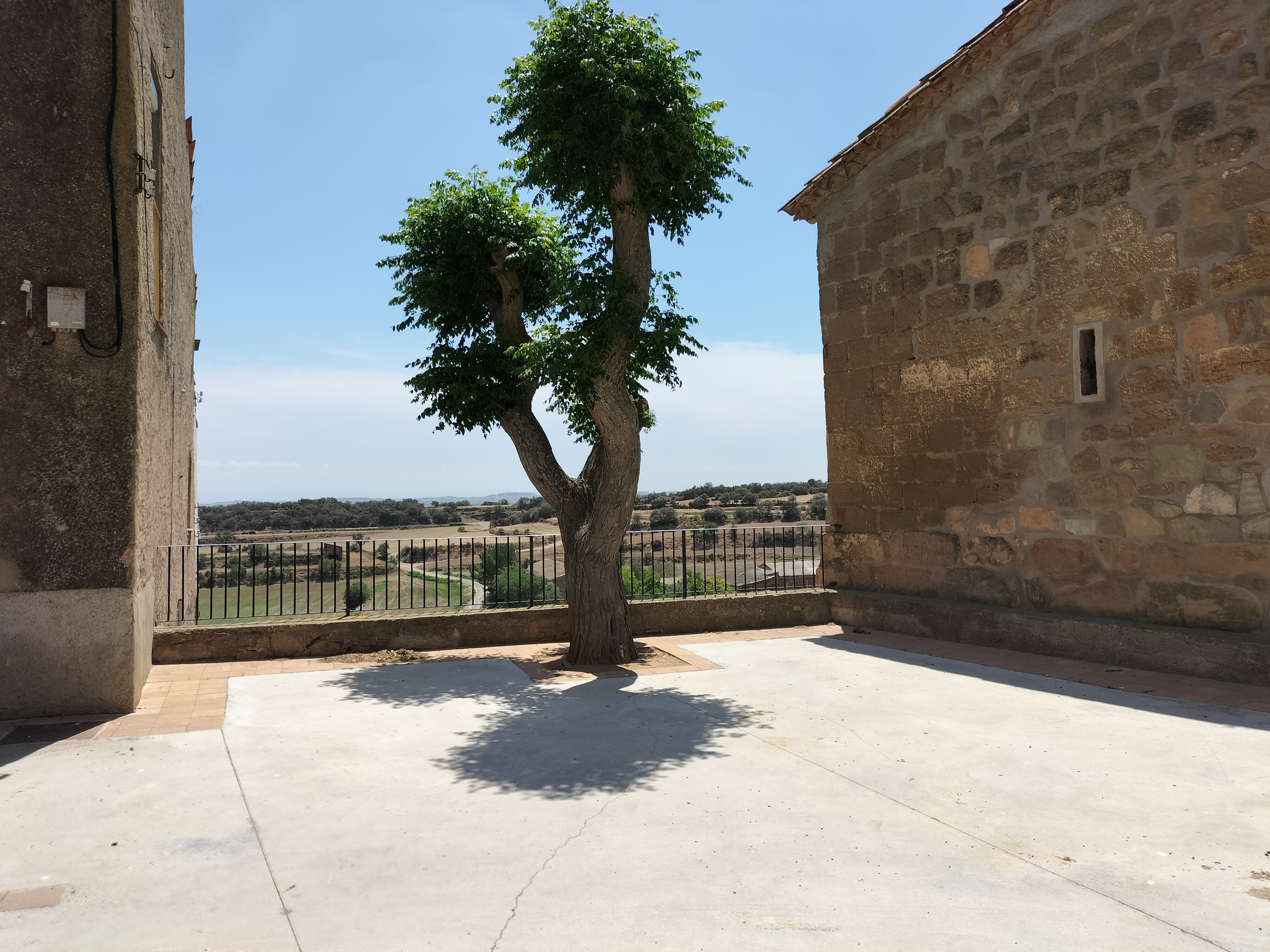 Plaça, arbre i paisatge de La Torre de Fluvià