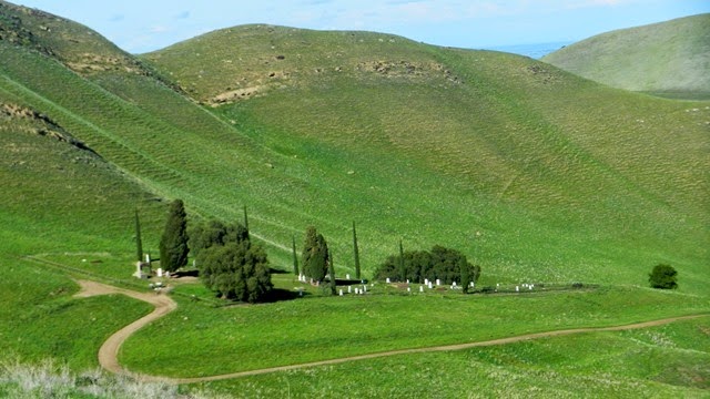 DSCN0950